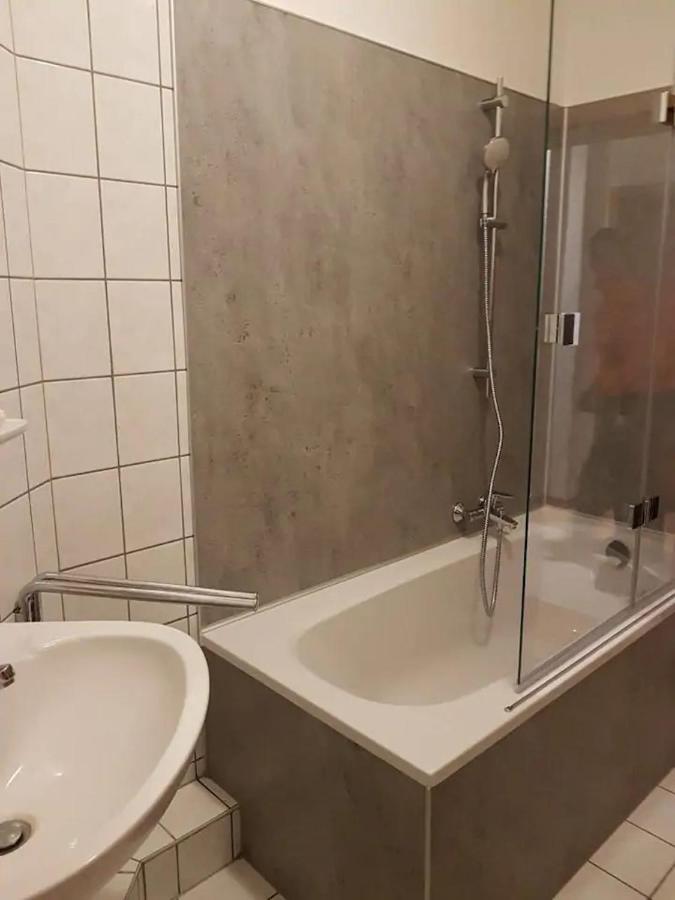 Grosse Ferienwohnung In Dresden-Lobtau Eksteriør billede